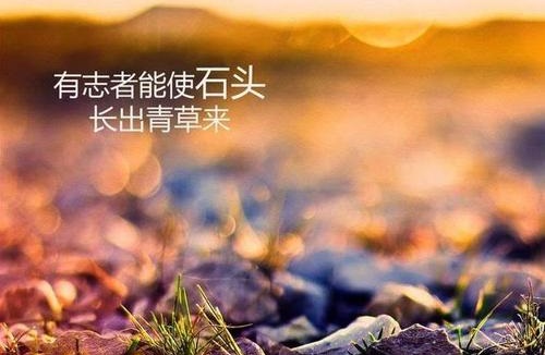 做微商賺不到錢？你是不是犯了這個錯誤(圖1)