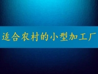 適合農(nóng)村的小型加工廠，月入2萬不算多，你有時間也能做