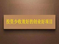 投資不到3萬，1個(gè)人就能干，利潤很高，每天收入能上千，我能做嗎